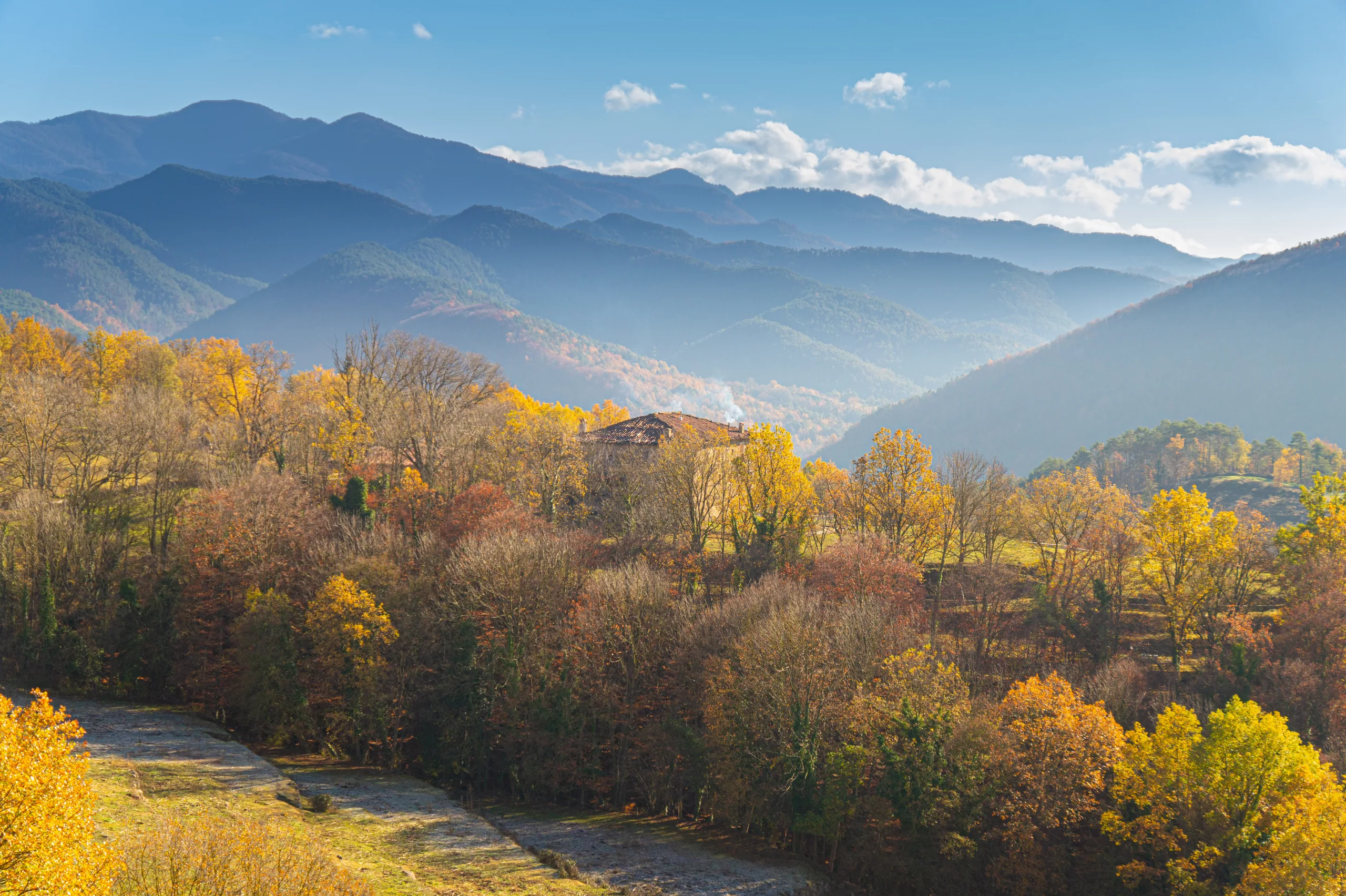 Mas el Mir-Querida Margarita
