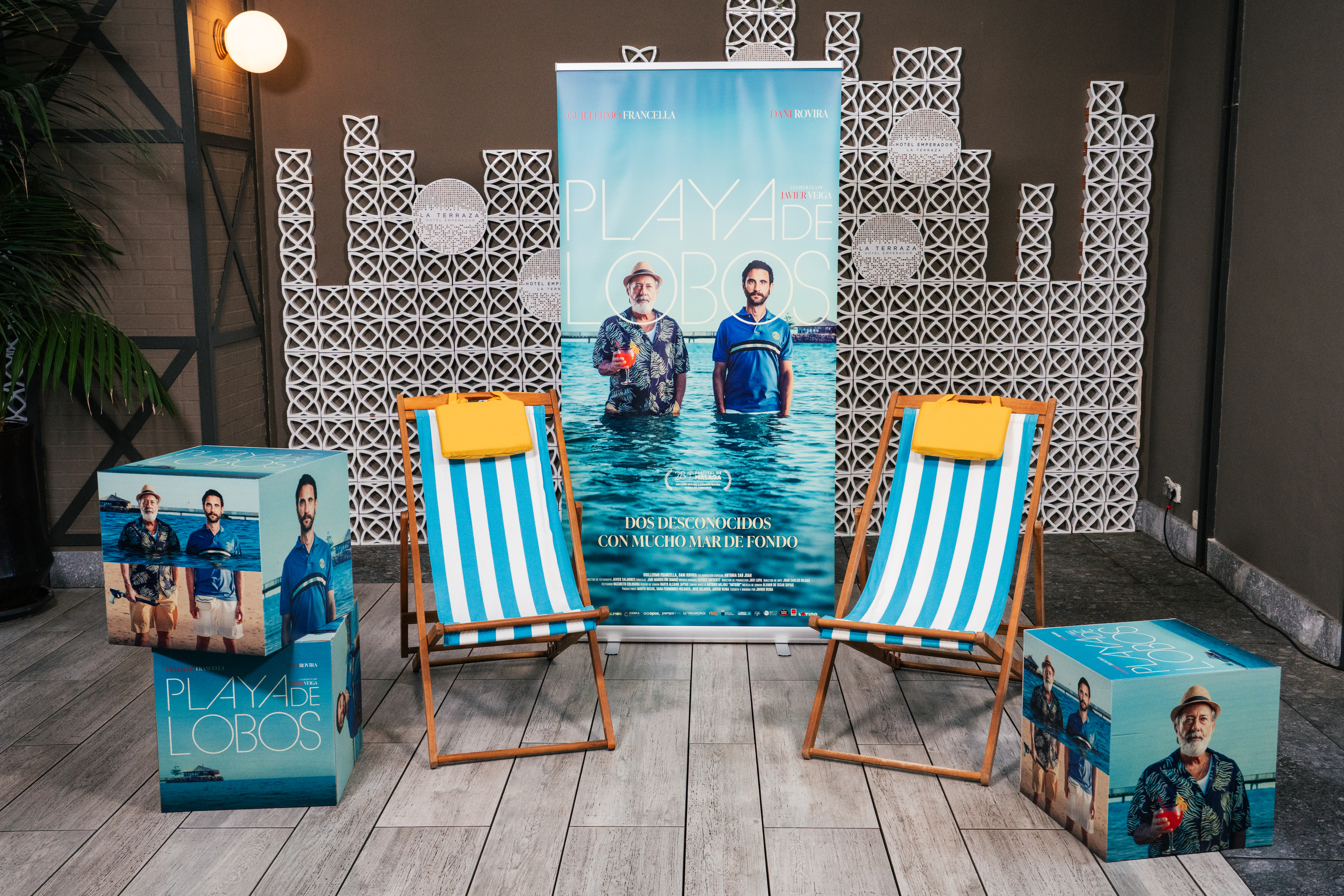 Junket Playa de Lobos- Tripictures